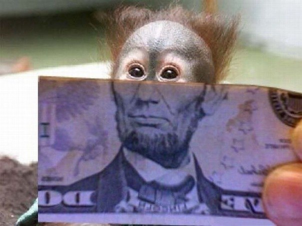 Илья Мурик | 