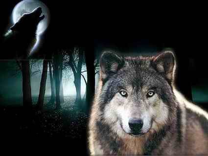 Виктория Лукашина ♥♥♥ | Калуга