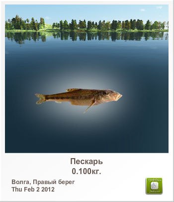 Лина Никифорова | Челябинск