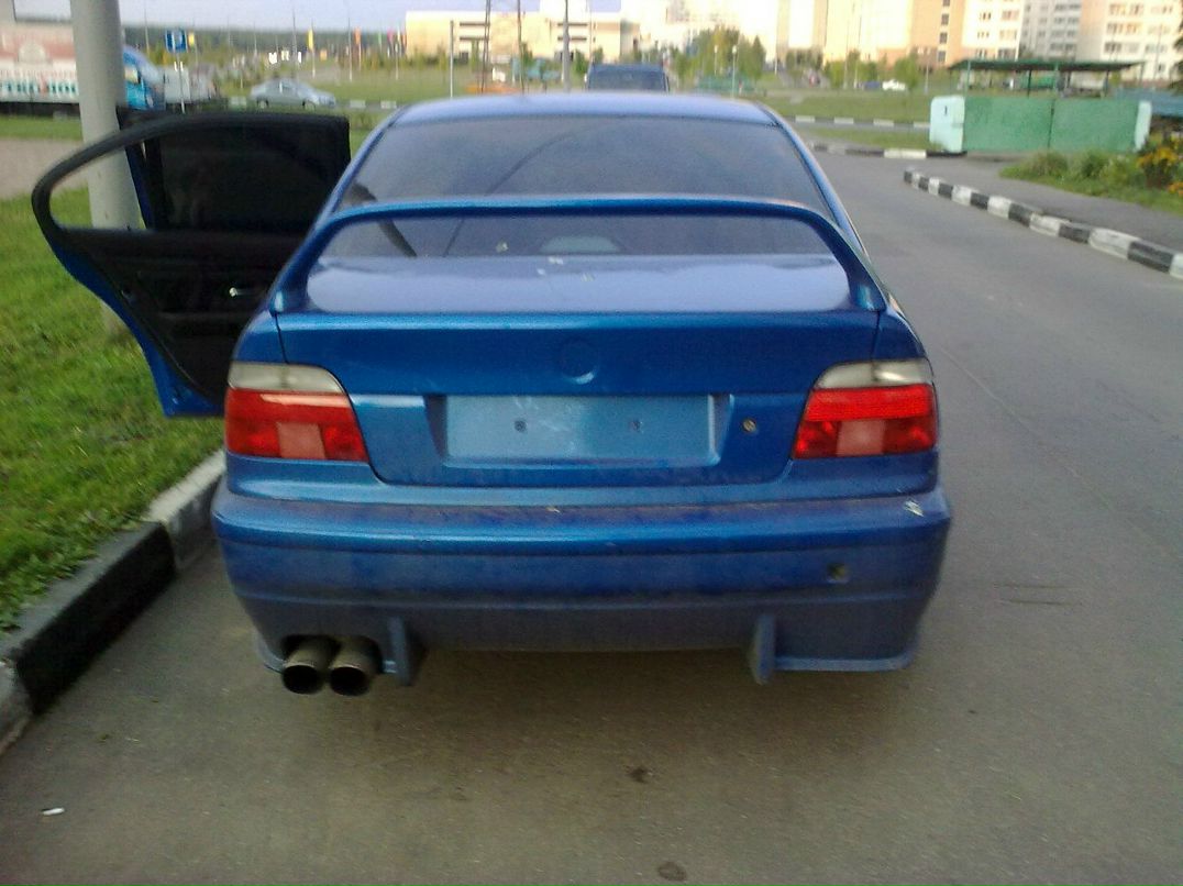 Олег Экомасов | Белинский