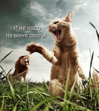 Яна Медчук | Николаев