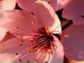 Ольга Васильева | Самара