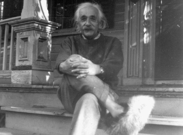 Ярославия Калесидис | 