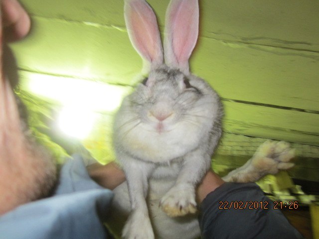 Татьяна Ушакова | Балаково