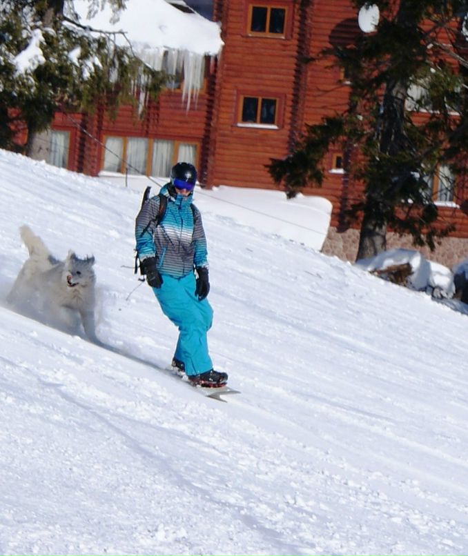 Виталик Гощенко | Киев