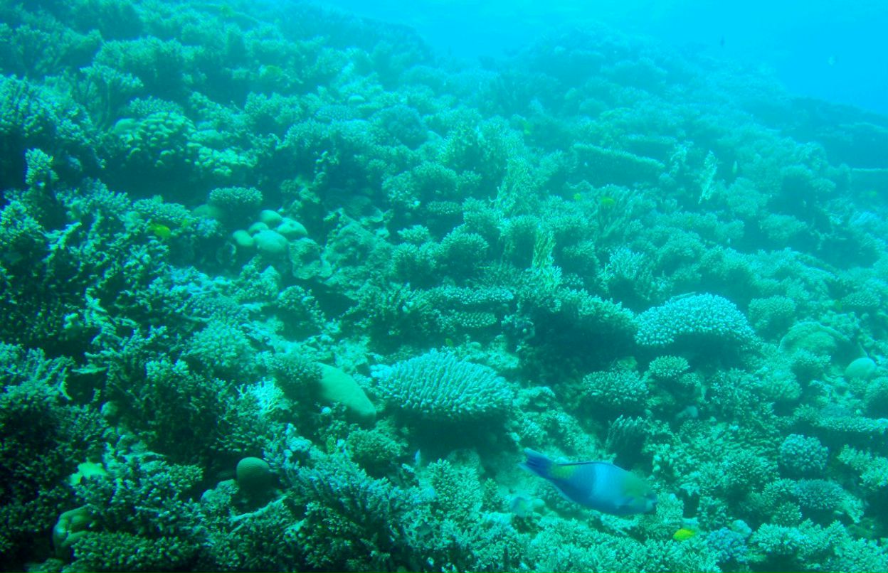 Иван Смирнов | Москва