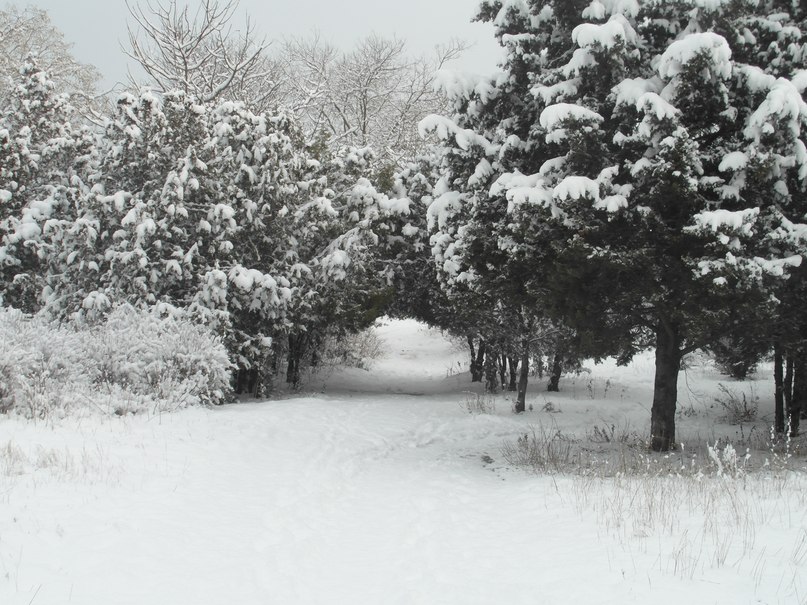 Олег Турчак | Севастополь