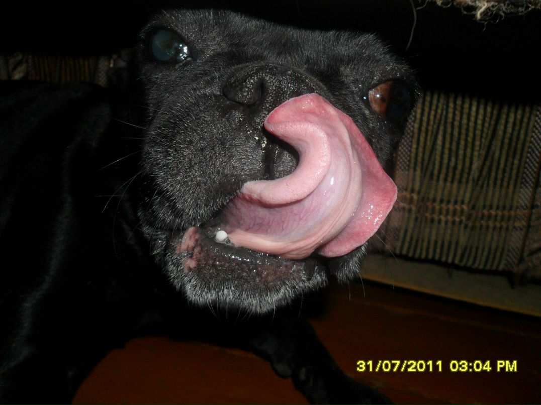 Марина Дмитриева | 