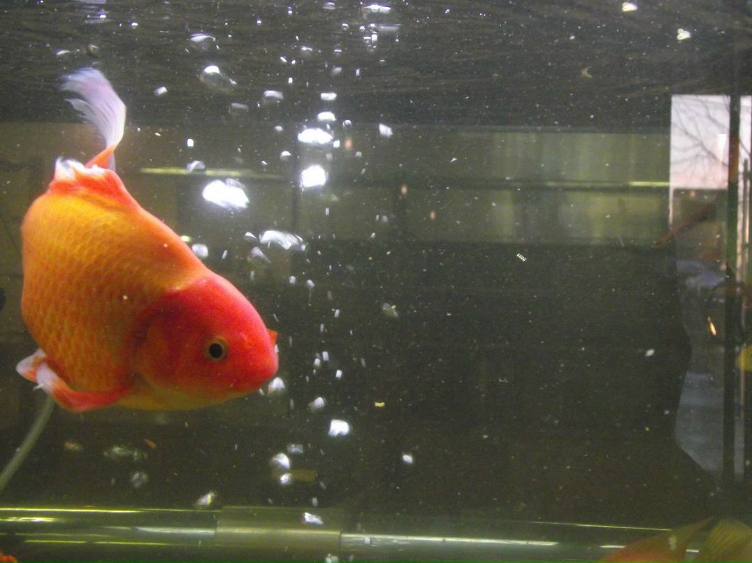 Павел Г | Омск