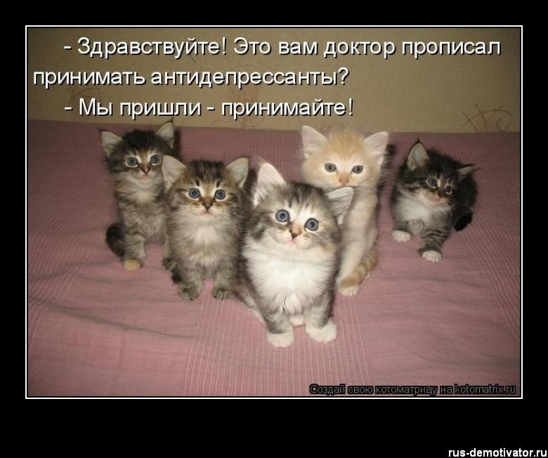 Елена Шварц | Самара