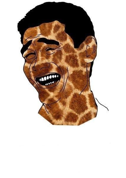 №15, Паша Соломаха, Кривой Рог №15, Паша Соломаха, Кривой Рог