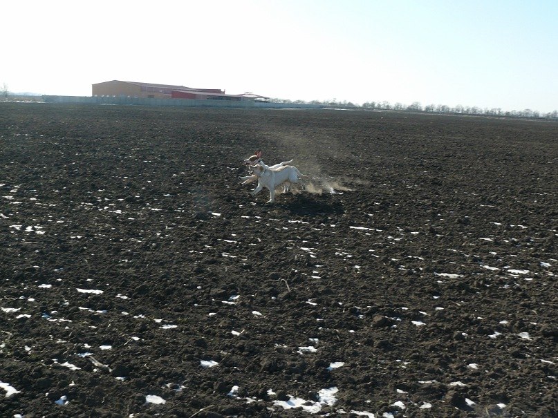 Инна Ошовская | Одесса