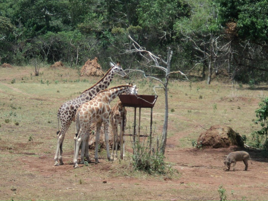 Сергей Дидух | Броды