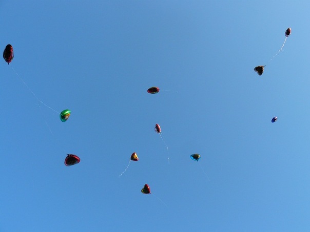 №10, Марина Деркач №10, Марина Деркач