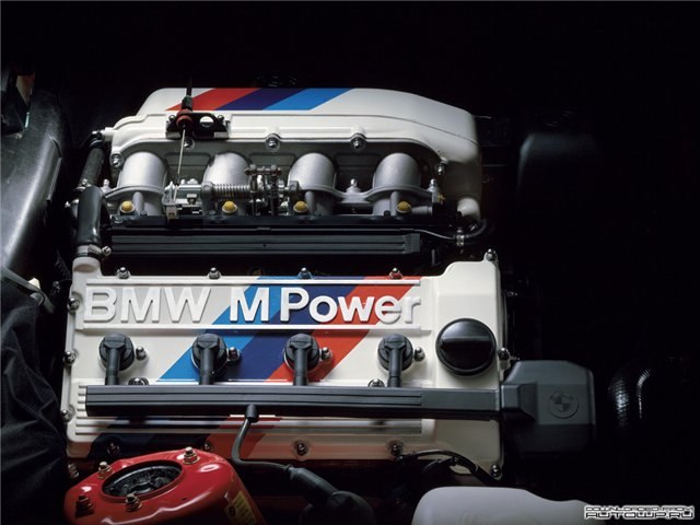 Андрей Шестак | Запорожье