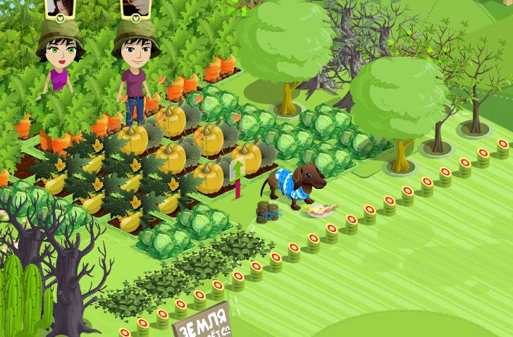 Ольга Васина | Санкт-Петербург