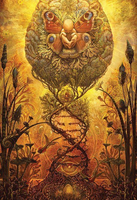 John Wan | Псков