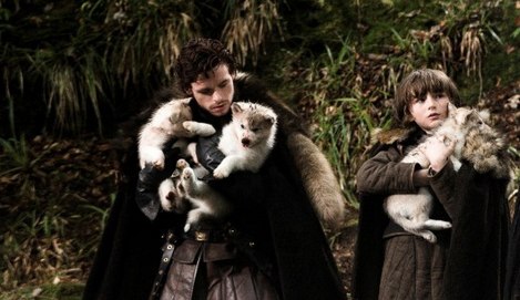 №1, Wef We23 №1, Wef We23