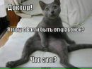 Фотография Алекс Тим