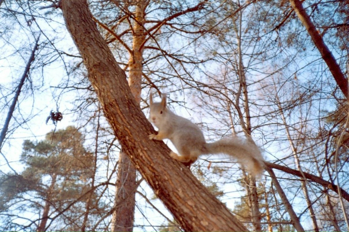 Мария Ли | Санкт-Петербург