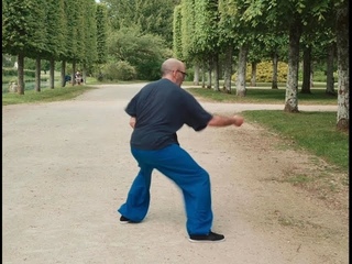 Marin Spivack Chen Shi Taijiquan Gongfu Jia Er Lu section Rambouillet France 2024