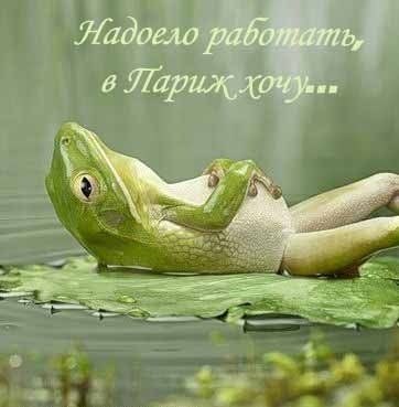 Юлия Прокопович | Витебск
