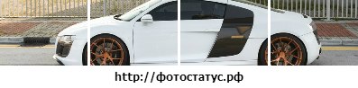 Дима Круглов | Санкт-Петербург