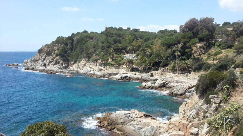 Сергей Самойлов | Рязань