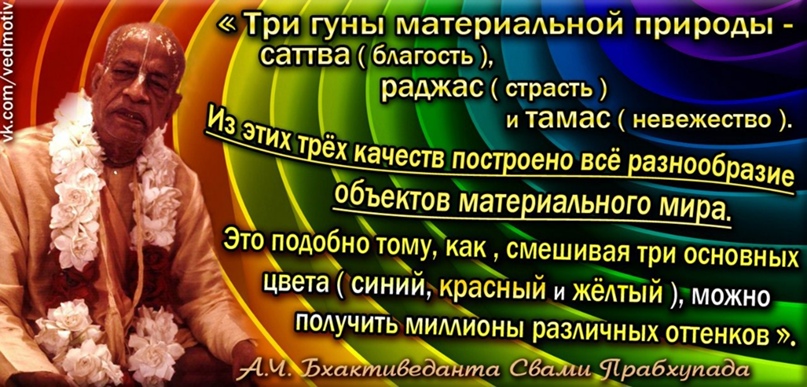 Алексей Никитин | Королёв