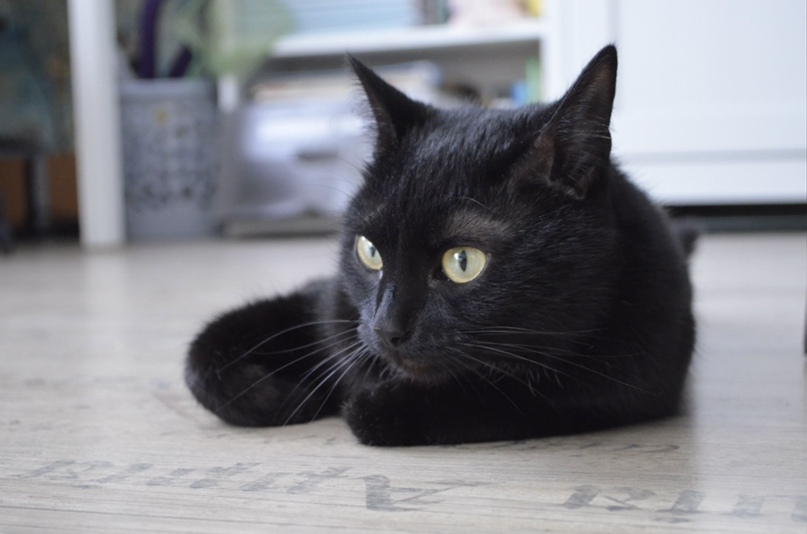 Мария Саламахина | Екатеринбург