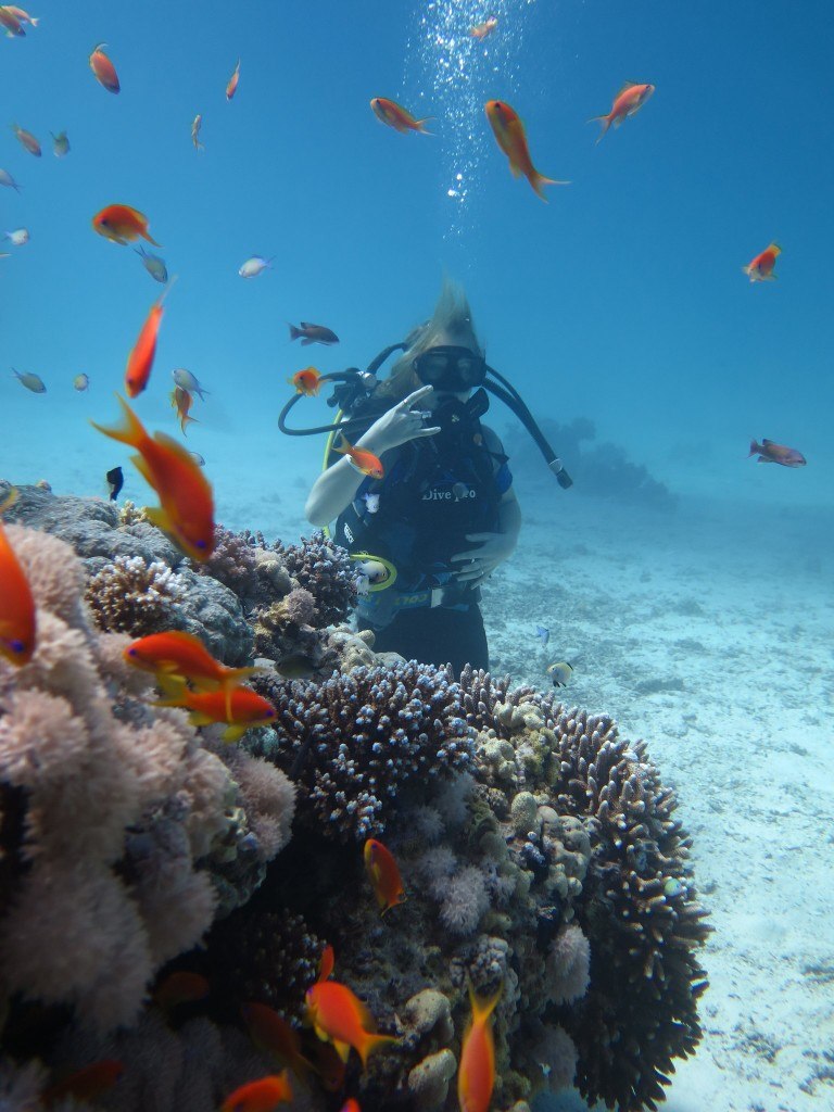 Светлана Синельникова | Витебск