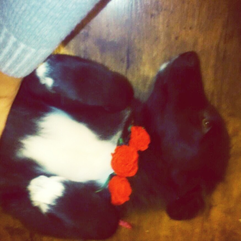 Александра Оводова | Санкт-Петербург