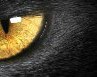 Наталья Пичугина | Нижний Тагил