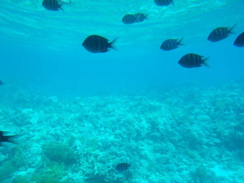 Ксения Саликова | Бугуруслан