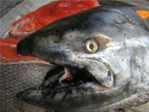 Олег Петров | Якутск