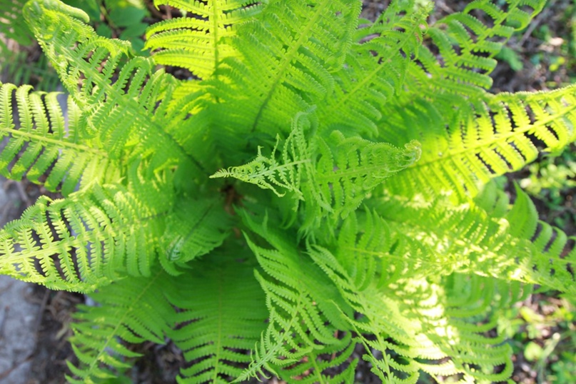 Светлана Сухорукова | Москва