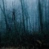 Александр Басик | Брест