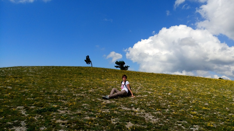 Анастасия Шумилина | Томари