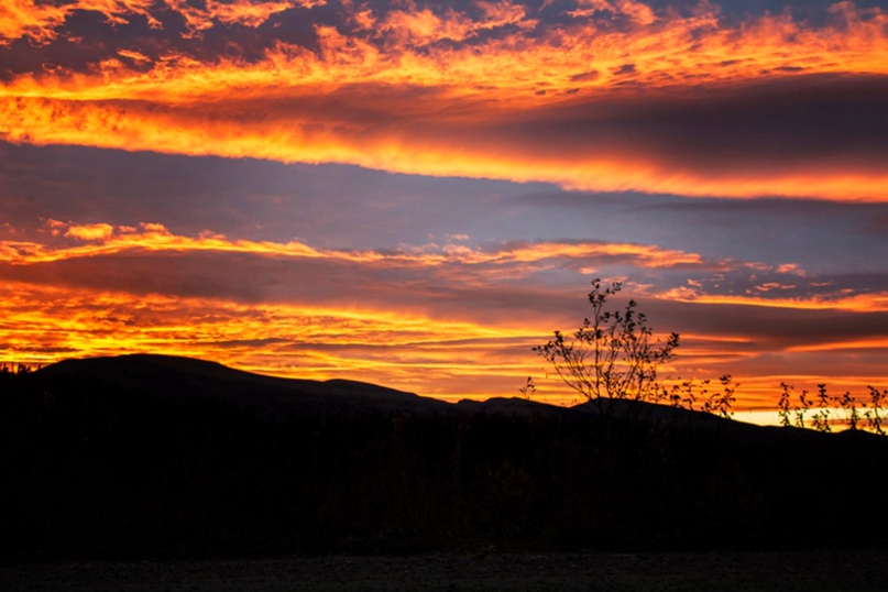 Дмитрий Симагин | Ростов-на-Дону