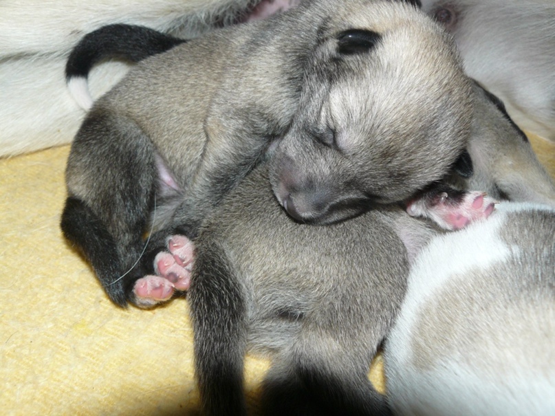 Мария Новожилова | Санкт-Петербург