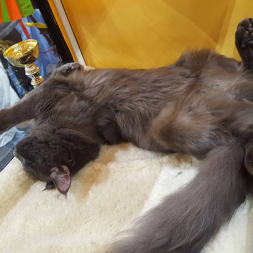 Илья Высоцкий | Москва