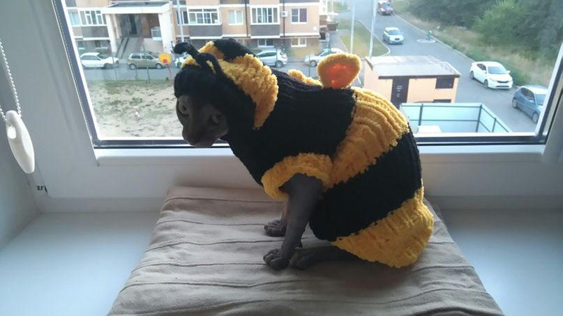 Алексей Муравьев ANT | Темрюк