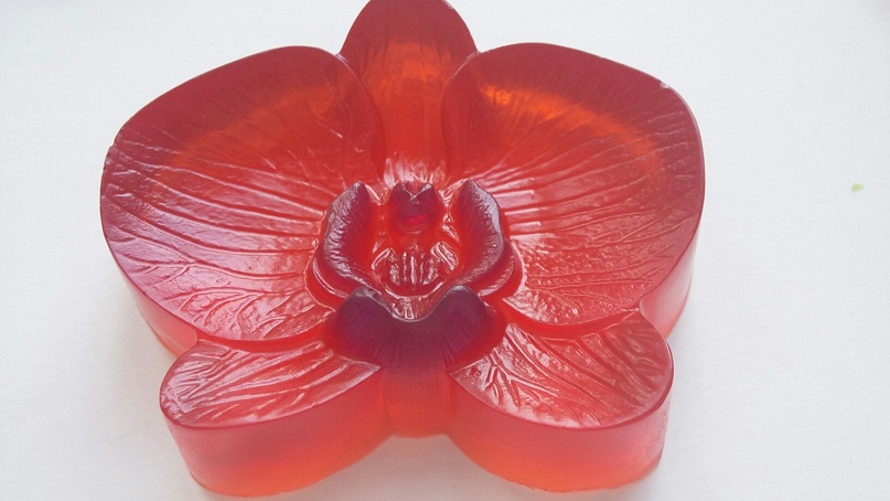 Виктория Сидоренко | Одесса