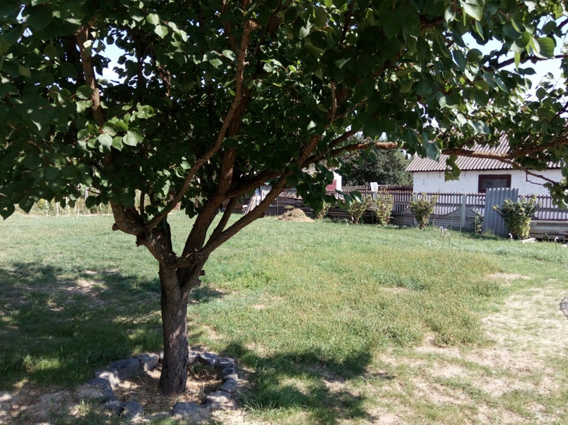 Катя Мацкевич | Пинск