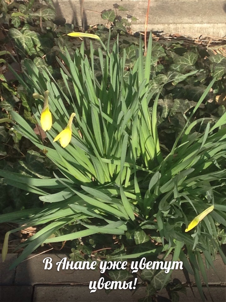 Екатерина Садыкова | Анапа