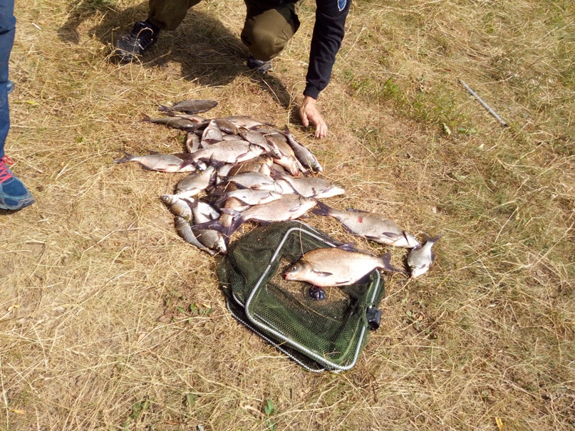 Георгий Шевченко | Подольск