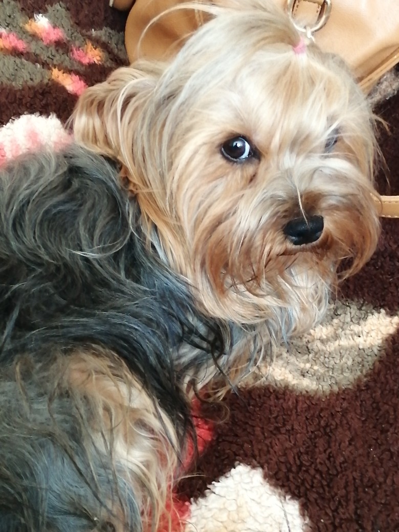 Ирина Глушкова | Сургут