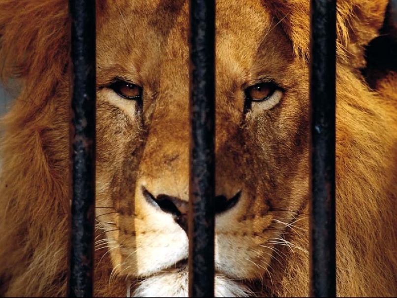 Макс Литвинов | Ростов-на-Дону