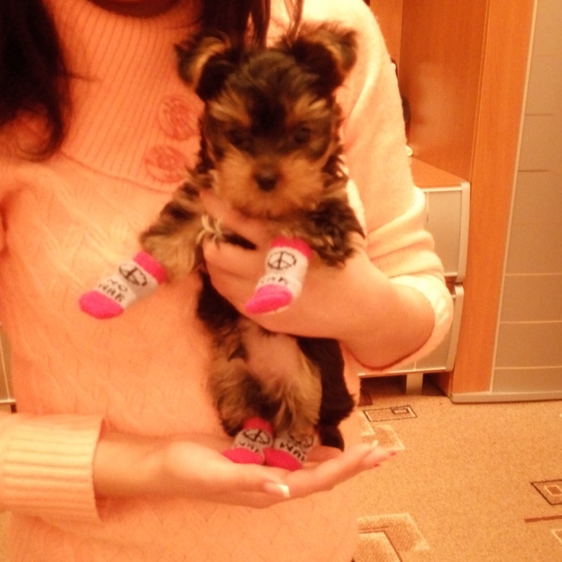 Оксана Потапова | Воронеж