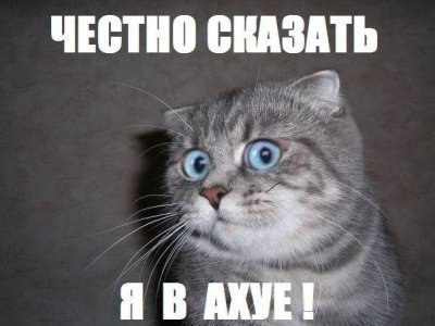 Юлия Резниченко |